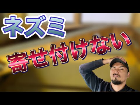 自家製殺鼠剤の作り方は？ 5 つの危険な食材、5 つの効果的なレシピ  庭園