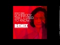 somebody that i used to know gotye best remix ...