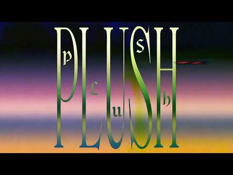 DJ Seinfeld - 'Plush' (Official Visualiser)