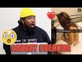 CHEATERS CAUGHT IN THE ACT EXPOSED CRAZYY REACTION
