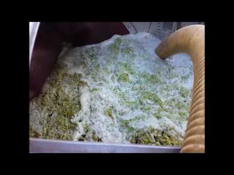 Grape Pickers Lunch