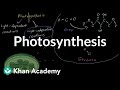 Photosynthesis | The flow of energy and matter | High school biology | Khan Academy
