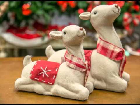 Programa Neusa Bighetti exibido no dia 15/11/2015 - Galeria das Flores