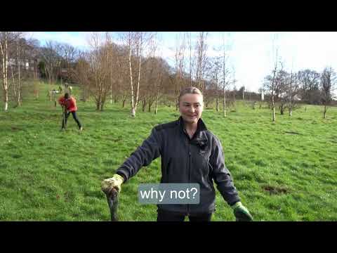 Community planting day at Oxton Fields, Wirral