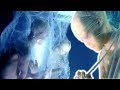 Does Human Cloning Exist Human Cloning Proof
