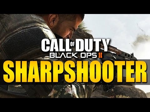 Sharp Shooter PC