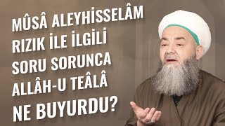 Mûsâ Aleyhisselâm Rızık ile İlgili Soru Sorunca Allâh-u Teâlâ Ne Buyurdu?