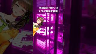 🍀 食べられる植物園が渋谷に♪100円で入れる日本一小さな植物園🌱ですわ #trip  #Vtuber #japan