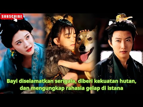 Bayi diselamatkan serigala, diberi kekuatan hutan, dan mengungkap rahasia gelap di istana