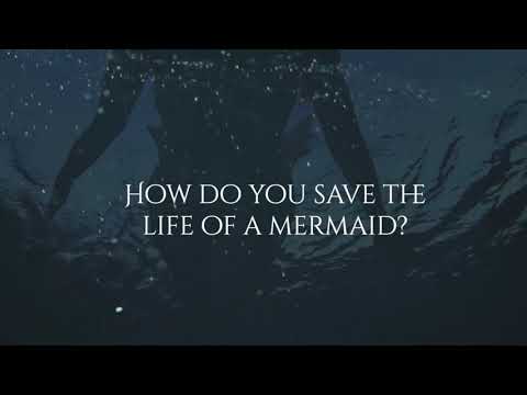 The Case of the Lost Mermaid - Book Trailer (OUT NOW)