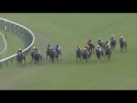 2021.11.21 Mile Championship (JPN) - Gran Alegria