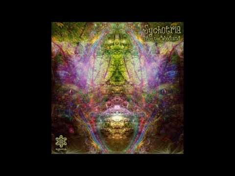 Sychotria - Where's The Soul