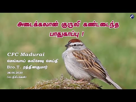 The Security Taught By Sparrows ! | CFC Madurai Tuesday Gospel Message - 26.05.2020