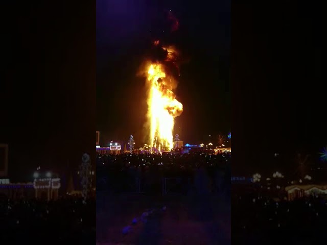 В новогоднюю ночь сгорела главная елка Сахалина + видео
