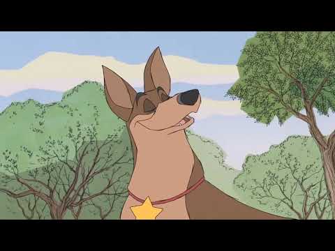 Animash - Psia kostka