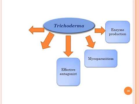, title : 'Mode of Action of Trichoderma spp by Prof. Tushar Ugale,Assistant Professor'
