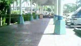 in this diary - the ataris