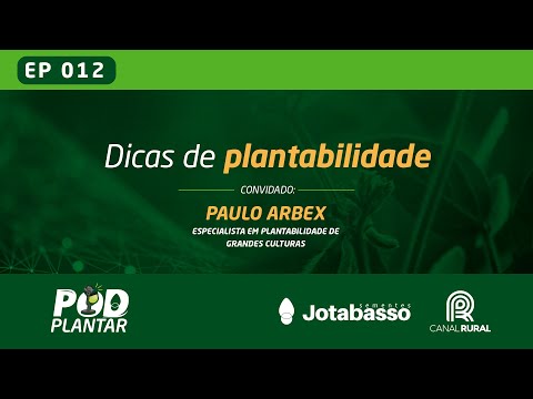 T01 - EP12: Dicas de plantabilidade com o Especialista Paulo Arbex | Canal Rural