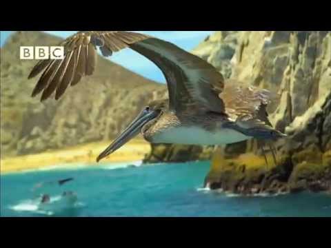 Subhan Taare Kudrath