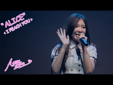 [4K][Fancam] Peach You Alice - I Peach You @DEADKAT VIOLENCE Concert, Mr.FOX Live House, 230603