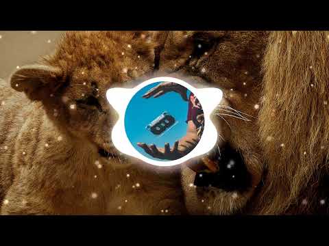 Ota Mia - Kolektivo [No Copyright Sound] Romantic, Vlog, África, Widely used by AXEL MERYL