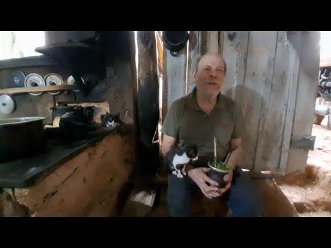 VISITAMOS NOSSO AMIGO CARLITO, O TAURA DE QUITANDINHA PR, SISTEMA SIMPLES DE QUEM TEM RAIZ. 