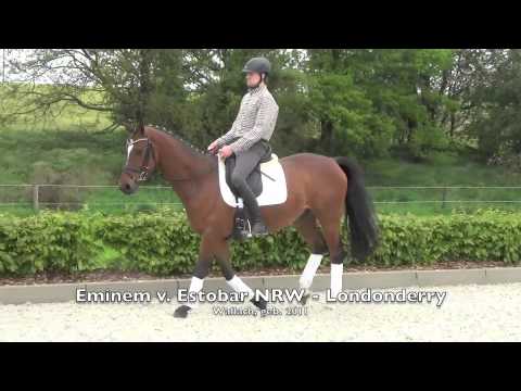 Eminem von Estobar NRW - Londonderry 2011 Wallach