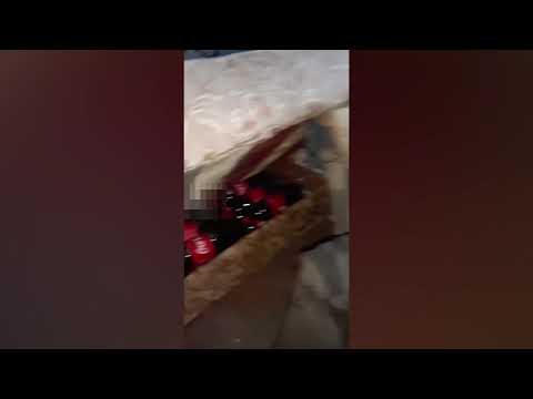 В Якутии школьники обокрали магазин и выложили ролик с похищенными продуктами В Якутии школьники обокрали магазин и выложили ролик с похищенными продуктами
