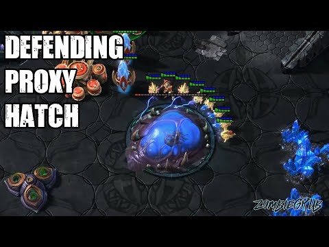 Defending Proxy Hatchery