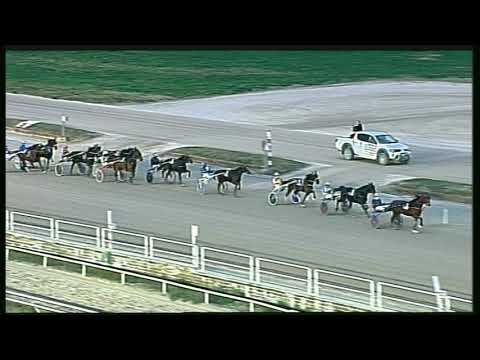 Trotto 31/01/2020 - 6ª corsa