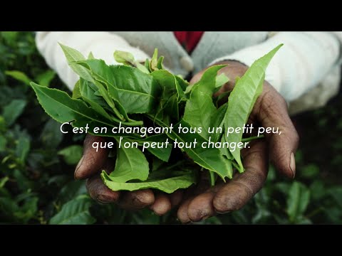 Terre d’Oc, entreprise à mission, le goût de l’engagement