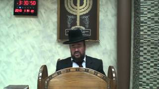 פרשת וארא – למה נוצר האדם?