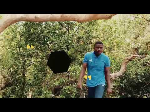 ghotam 0 seven [clip officiel]