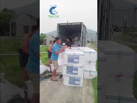 800.000 Post Tuấn Vân về đến bà con khu vực Nghệ An & Hà Tĩnh