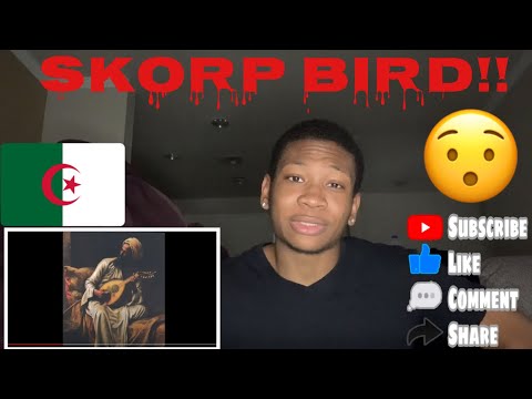 AMERICAN REACTION TO ALGERIAN RAP SKORP - BIRD