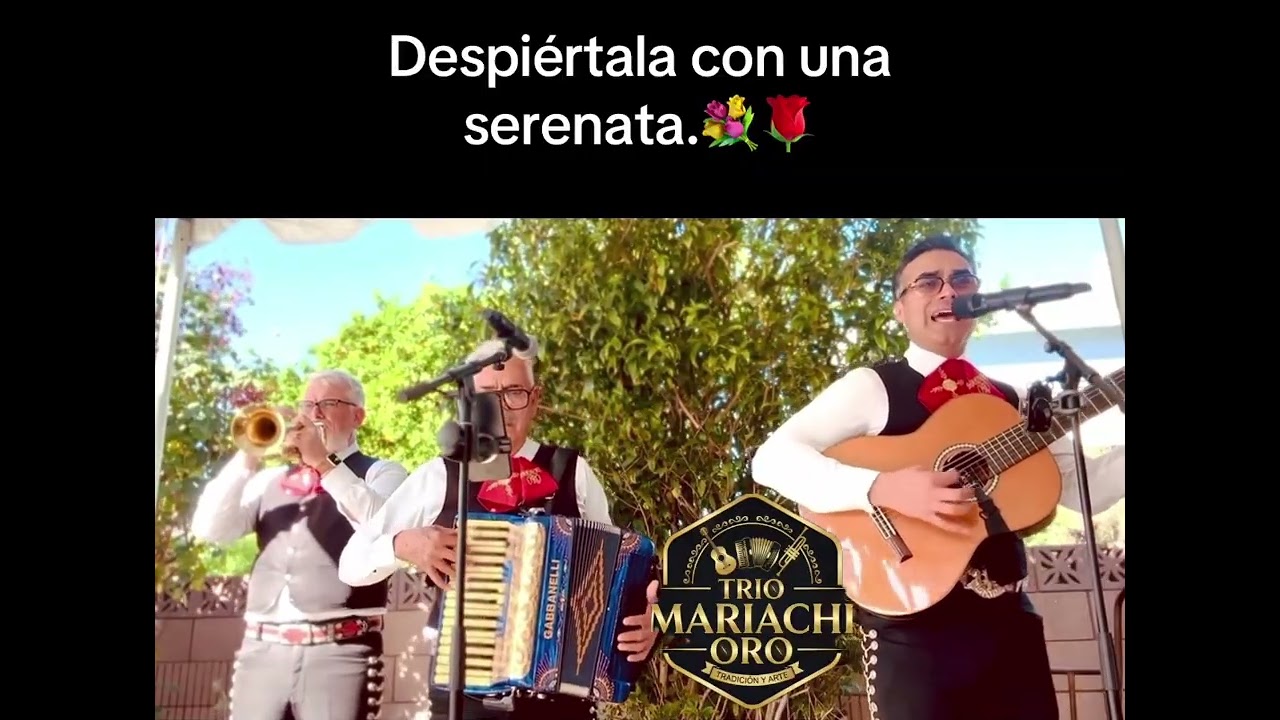 Promotional video thumbnail 1 for Trio Mariachi Oro