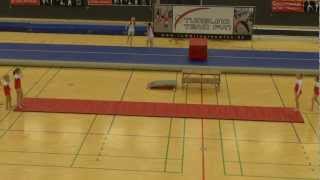 preview picture of video 'Gymnasternes Dag 2013 - Tumbling Team Fyn'