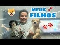 PAPAI DE CACHORROS