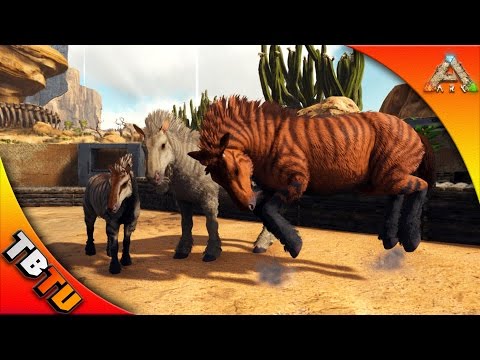 EQUUS TAMING AND BREEDING w/ Mago! - Ark Survival scorched earth gameplay - Gaming Evolved