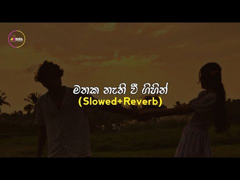 Mathaka nathi wee gihin | මතක නැති වී ගිහින් (Slowed + Reverb)
