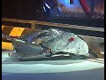 Robot Wars Razer Most Spectacular Wins Ever