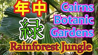 【ケアンズ】植物園 【Cairns】Botanic Gardens