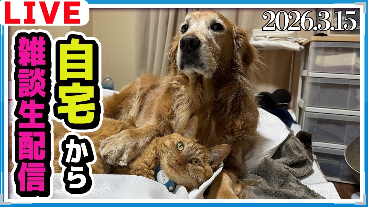 自宅から雑談ライブ！