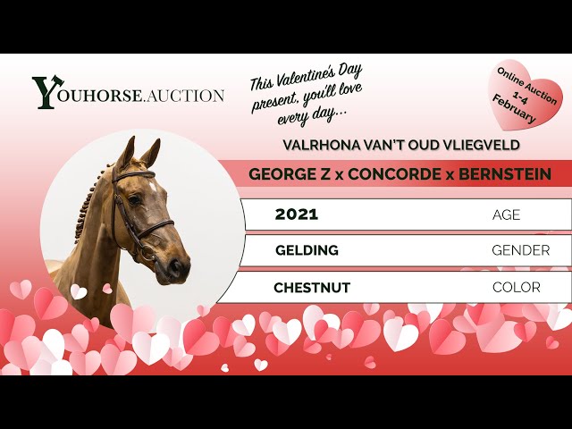 Valrhona van’t Oud Vliegveld