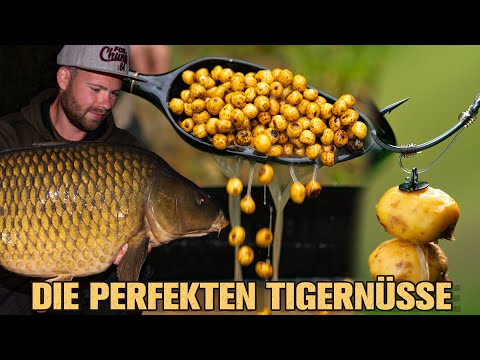 Wie macht man die PERFEKTEN Tigernüsse!?