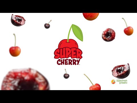 CHERRY STREAM DESKTOP DE LAYOUT - Klaviatūra ir pelė USB video