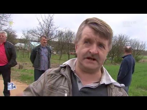 Wojna na kłonice - Sprawa dla reportera