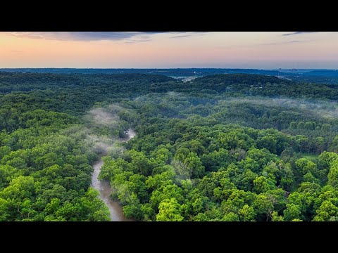 Amazon rainforest | Ecosystems