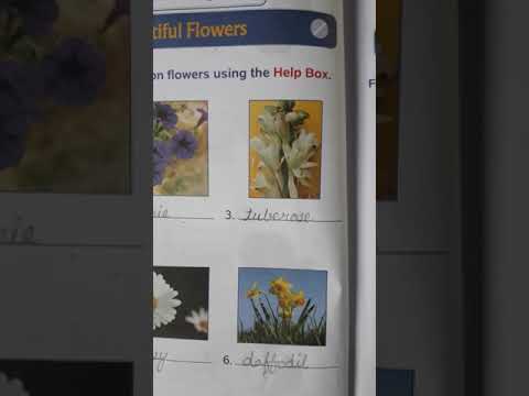 Beautiful flowers class 2nd