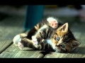 Хор Великан Новогодняя Минус Хор Великан Новогодняя Минус